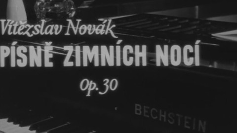 Písně zimních nocí