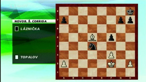 V šachu - 4. října 2013