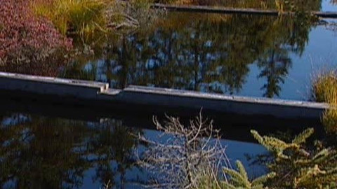 Přidej se - Rašeliniště