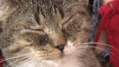 Chcete mě? - 26. března 2010