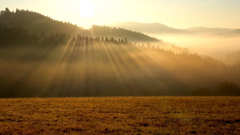 Týden v regionech (Ostrava) - 13. listopadu 2021