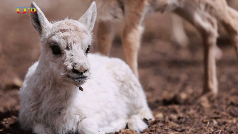 Zprávičky - 17. července 2024