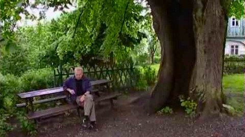 Paměť stromů - 11/15 Stromy umělců, stromy umělci