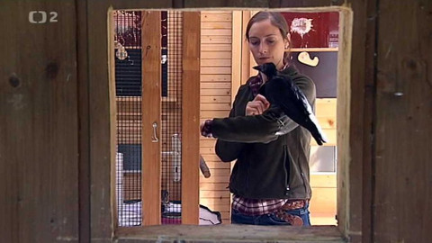 Dobrodružství vědy a techniky - Inteligentní tvorové