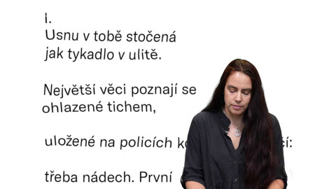 Jedna báseň - Jitka N. Srbová