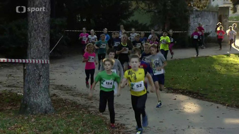 Sport v regionech - Night Run Olomouc