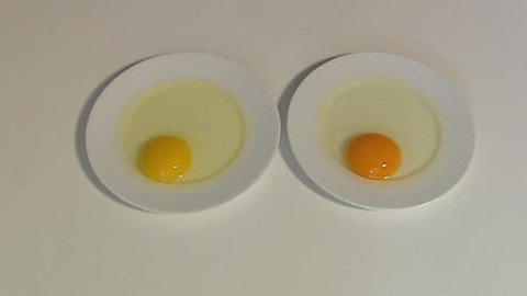 Černé ovce - 11. června 2013