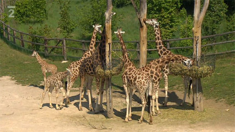 Barvy života - 8. června 2011