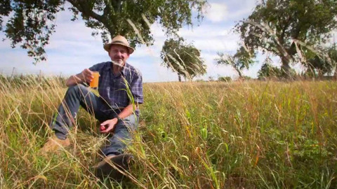 Cestou za chutěmi - Mošty