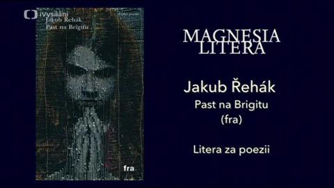 Magnesia Litera - Litera za poezii