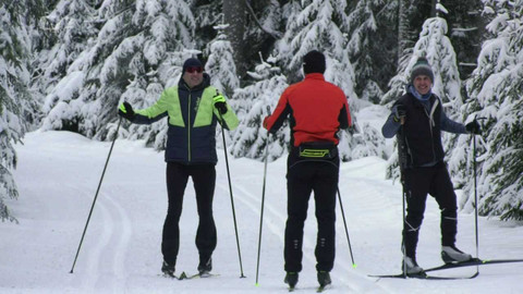 Běžkotoulky - Srní