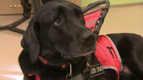 Zprávičky - 20. prosince 2023