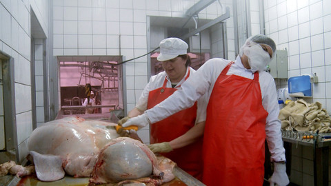 Zlatá mládež - 1/5 Na jatkách