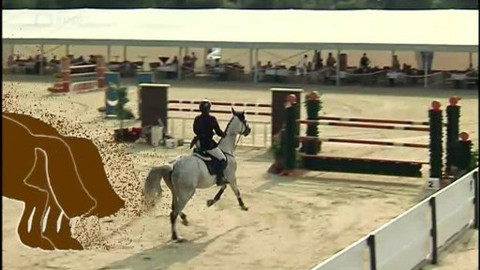 Jezdectví - Velká cena Olomouce v parkurovém skákání