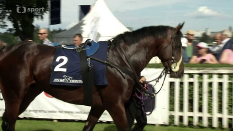 Dostihy - Velká červnová cena