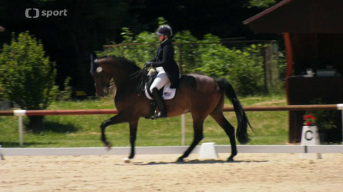 Koně a sport - 26. června