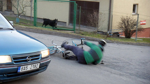 Besipky - Jaro v jedné stopě