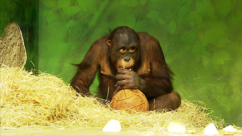 Chcete mě? - 7. prosince 2014