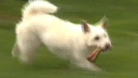 Chcete mě? - Chcete je?