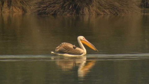 Dobrodružství vědy a techniky - Nad zemí i mořem