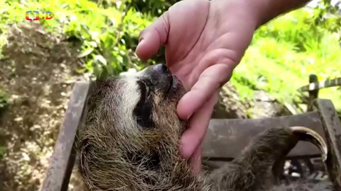 Zprávičky - 31. prosince 2021