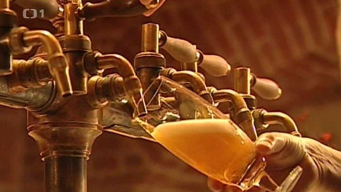 Černé ovce - 7. listopadu 2017