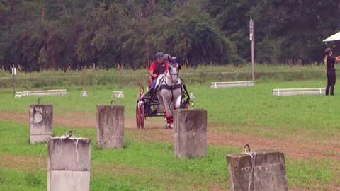 Jezdectví - MČR spřežení Semice