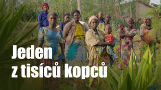 Jeden z tisíců kopců