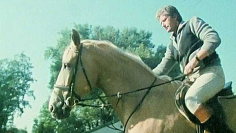 Archiv D - Mistr parkúru