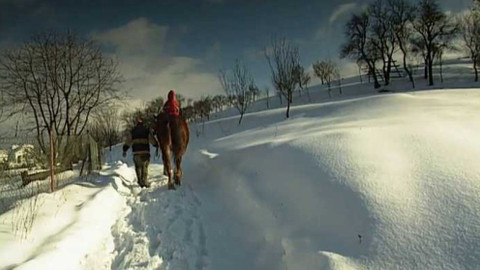 Náš venkov - S koněm do lesa