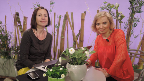 Sama doma - 27. března 2019