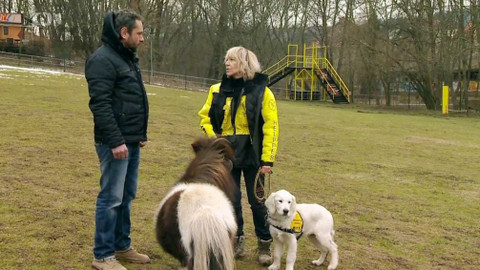 Polopatě - 8. dubna 2018