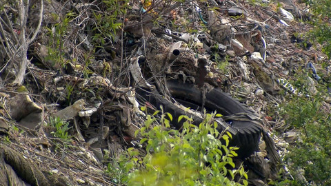 Nedej se! - Časovaná bomba v CHKO
