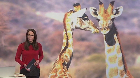 Horizont ČT24 - 8. prosince 2016