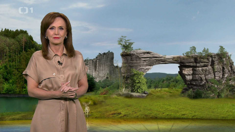 Toulavá kamera - 15. června