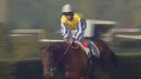 Jezdectví - Pardubický Sant Leger