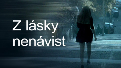 Z lásky nenávist