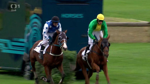 Velká pardubická - 130. Velká pardubická se Slavia pojišťovnou