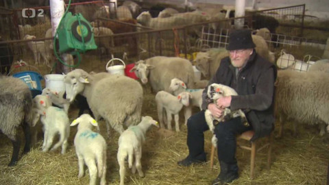 Nedej se! - Strážcové těžebních limitů