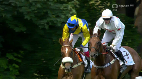 Dostihy - Letní cena města Pardubic