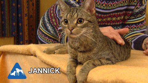 Chcete mě? - Chcete je?