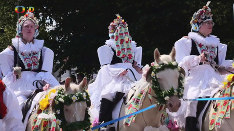 Zprávičky - 8. července