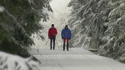 Běžkotoulky - Orlicko