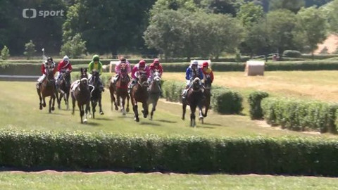 Sport v regionech - Dostihový den Světlá Hora