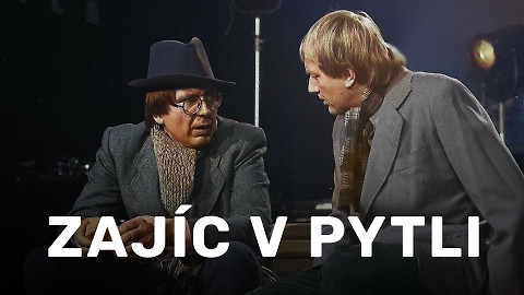 Zajíc v pytli