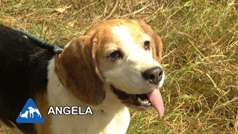 Chcete mě? - Chcete je?