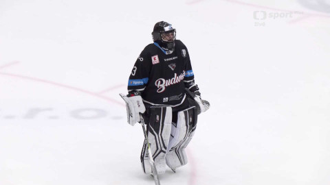 Univerzitní liga ledního hokeje - HC NORTH WINGS Ústí nad Labem - UNIted HK