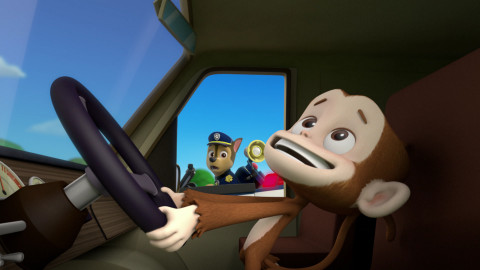 Tlapková patrola - Tlapky a opičárny / Tlapky zachraňují sovu