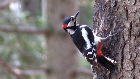 Objektiv - 22. listopadu 2020