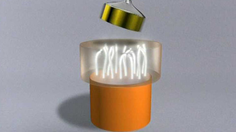 Popularis - 11. prosince 2003